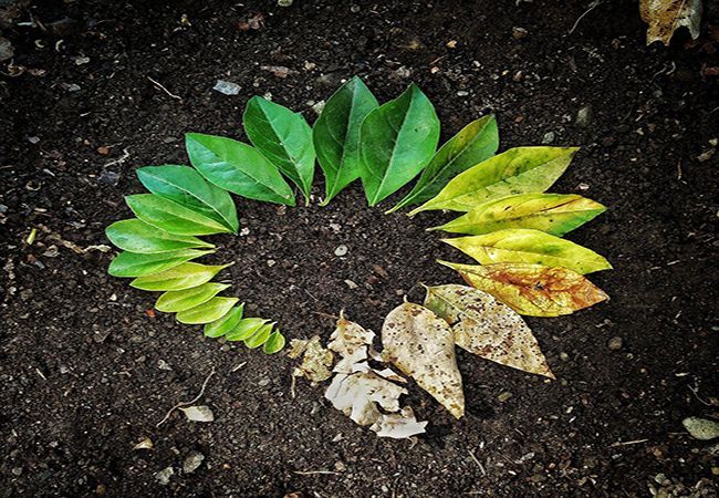 Die Wichtigkeit der Spiritualit&auml;t bei ethischen Entscheidungen