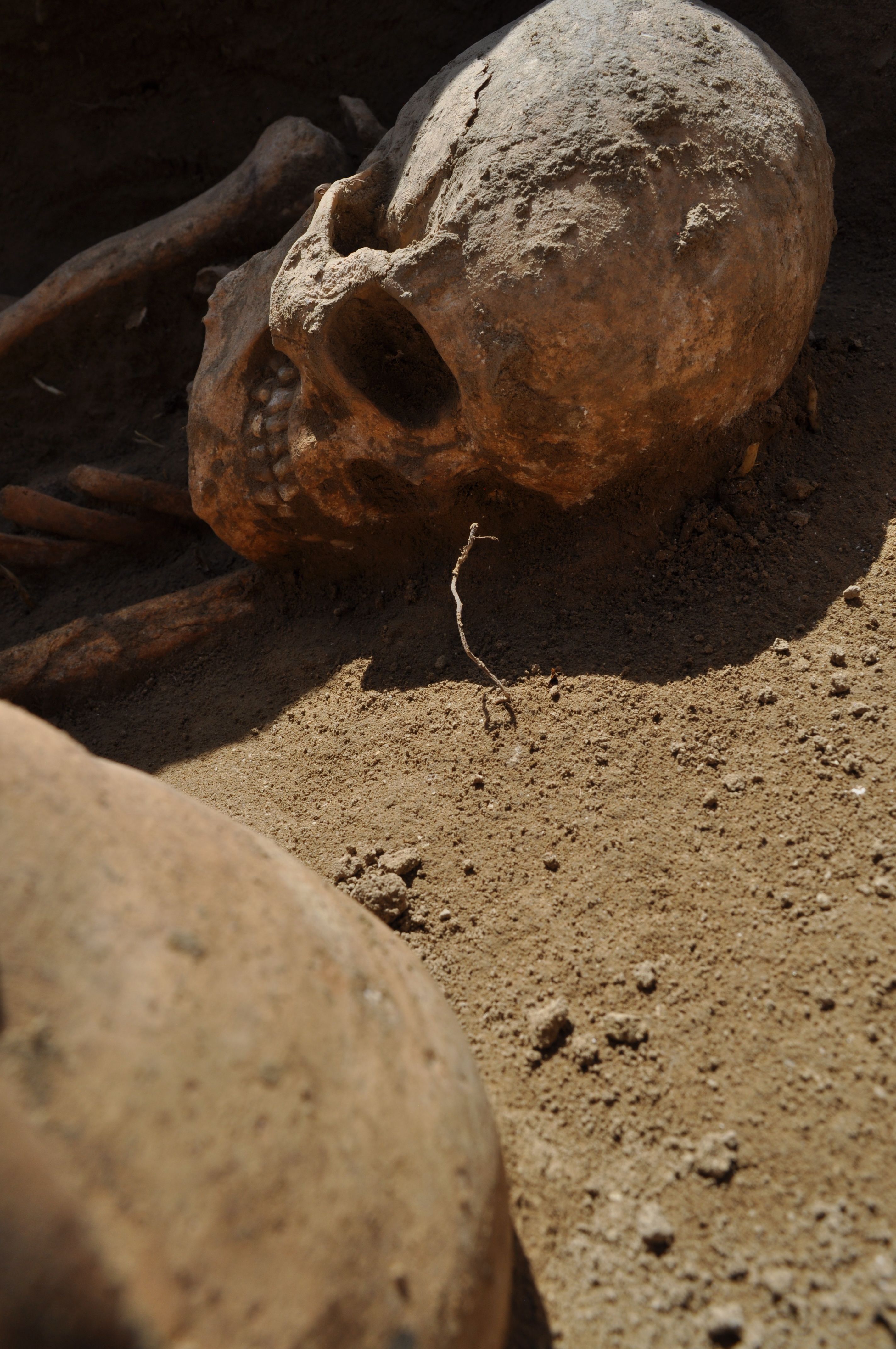 „Archäologie des Todes"